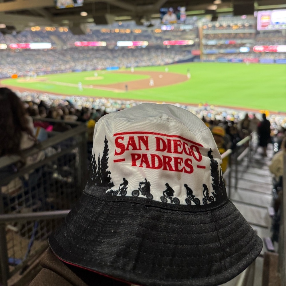 Black and White Baseball Stadium Hat